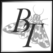 logo no writing (1)